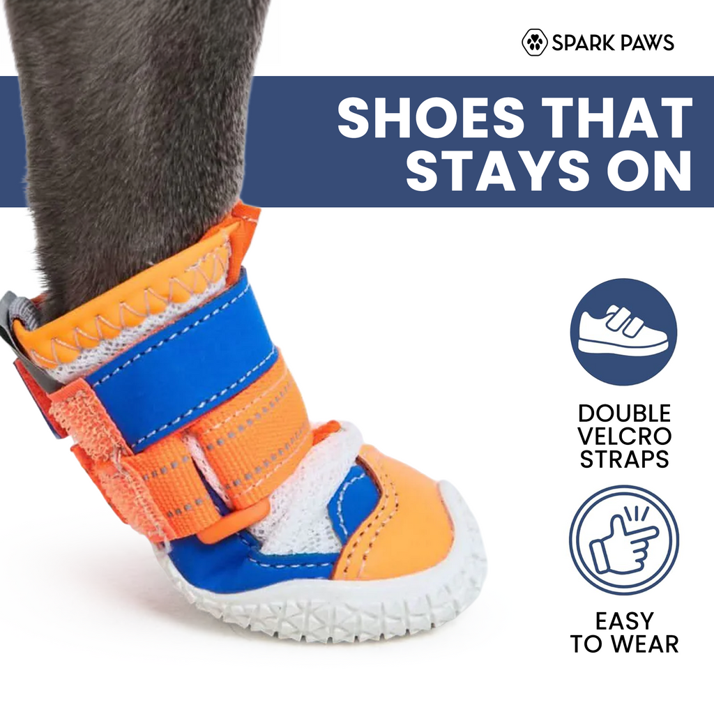 Dog Shoes product image 26