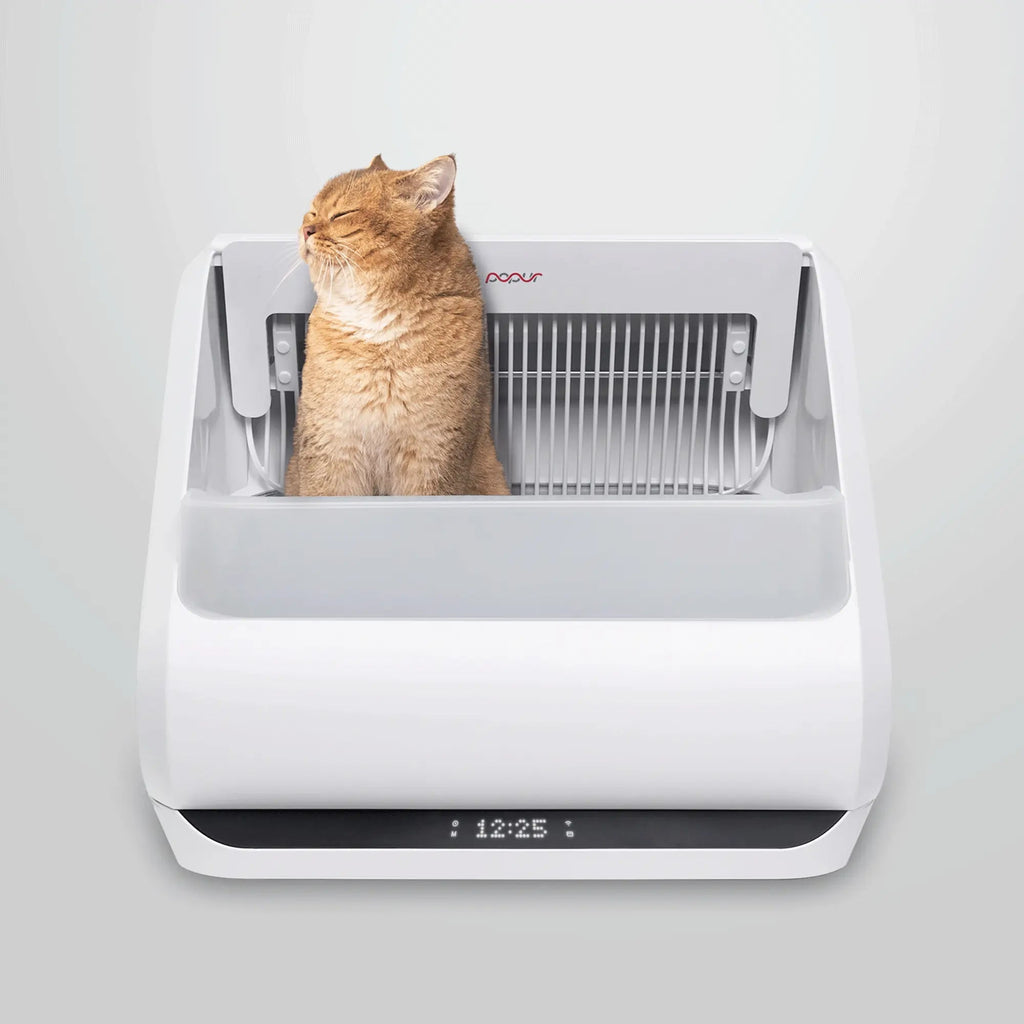 Popur X5 Self Cleaning Litter Box
