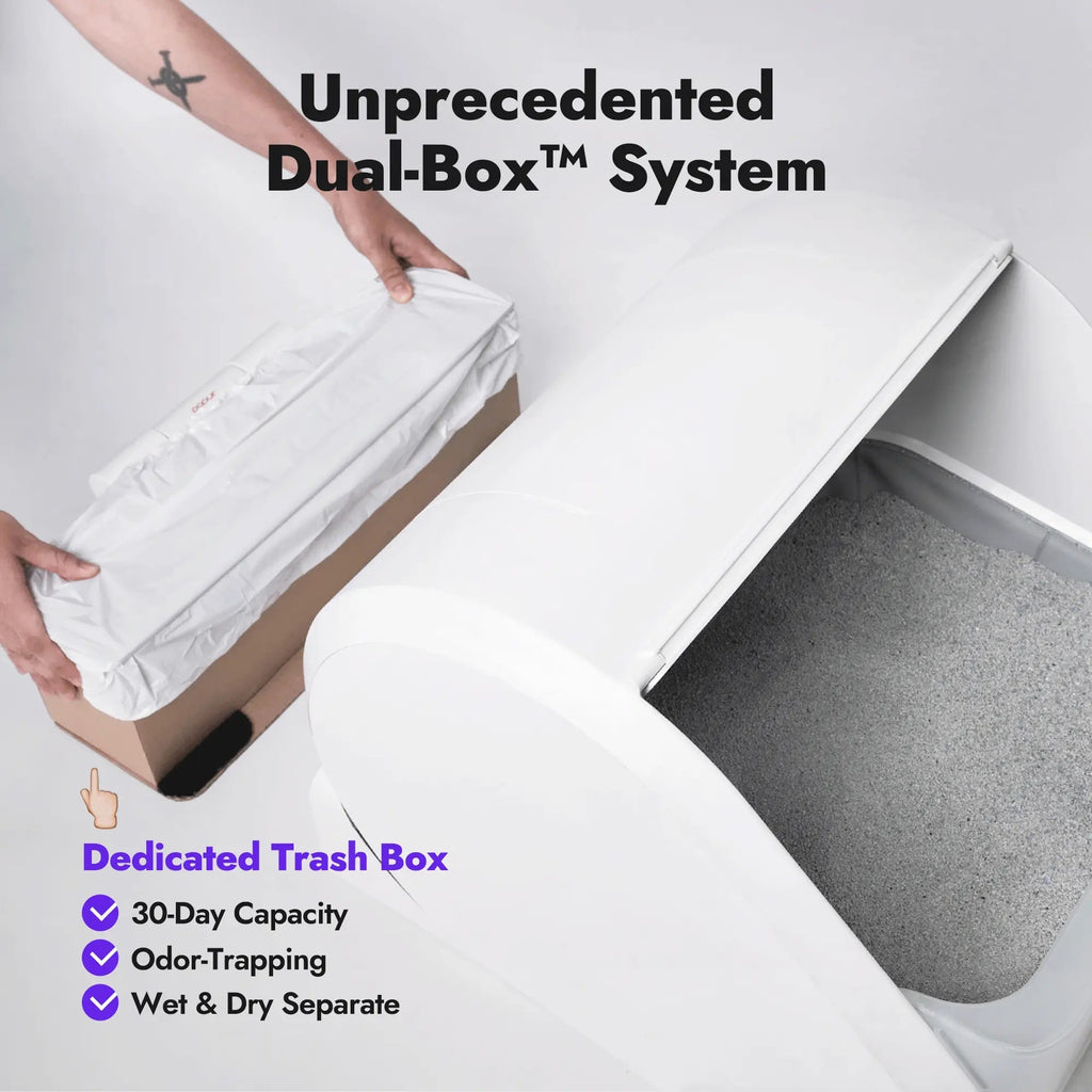 Popur X5 pic09 ingenious dual box system