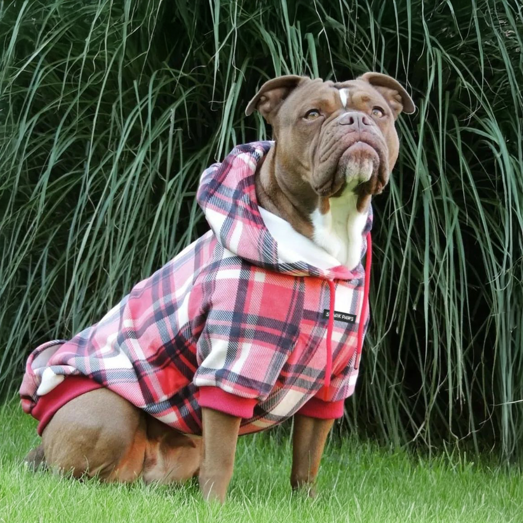 Dog Hoodie product image 13
