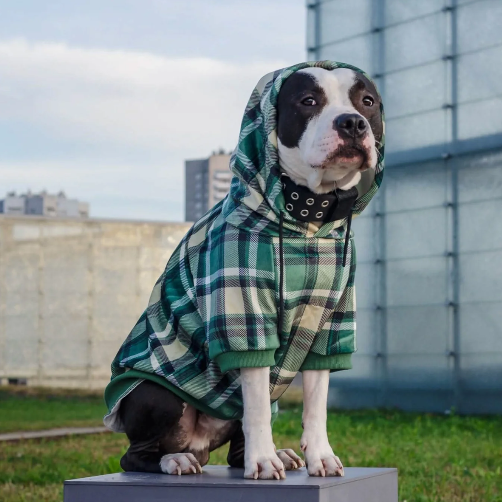 Dog Hoodie product image 26