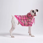 Dog Hoodie product image 43