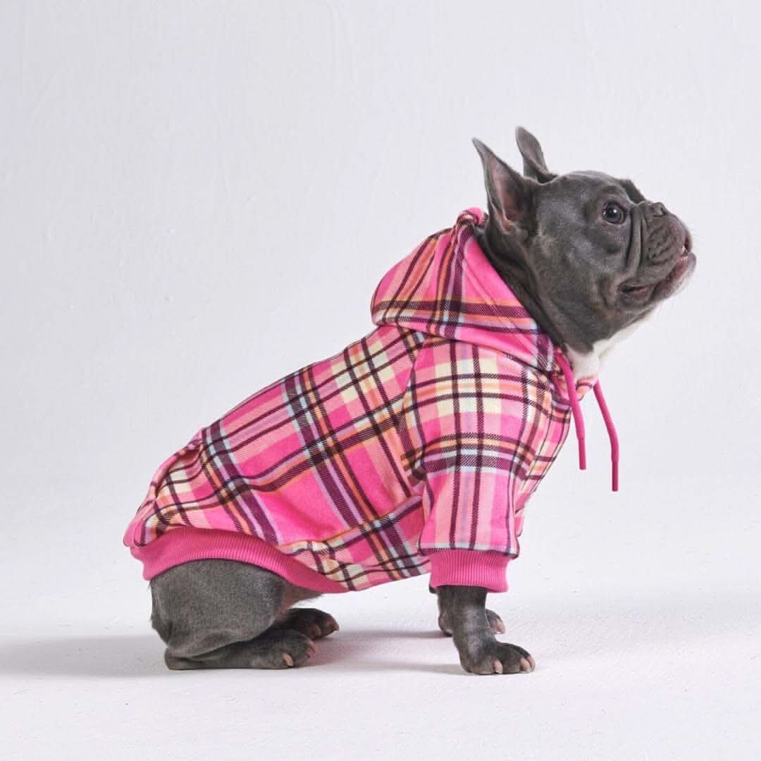 Dog Hoodie product image 46