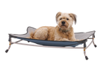 Elevated Dog Cot product image 2