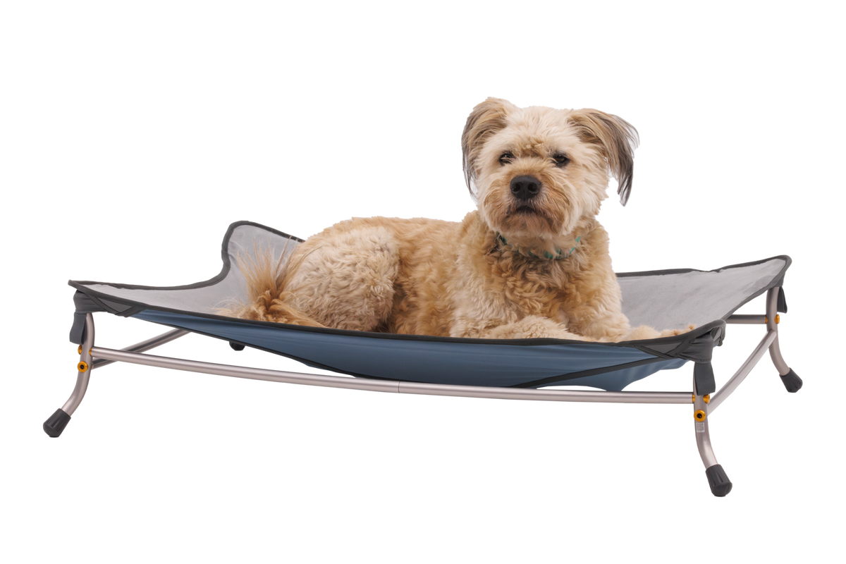 Elevated Dog Cot product image 2