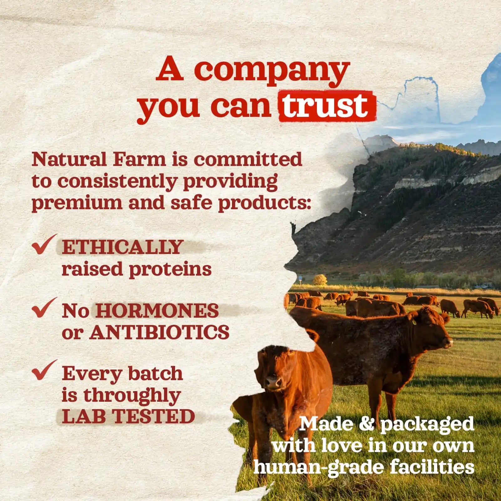 Chicken Feet for Dogs Natural Farm Shop Chicken Chews