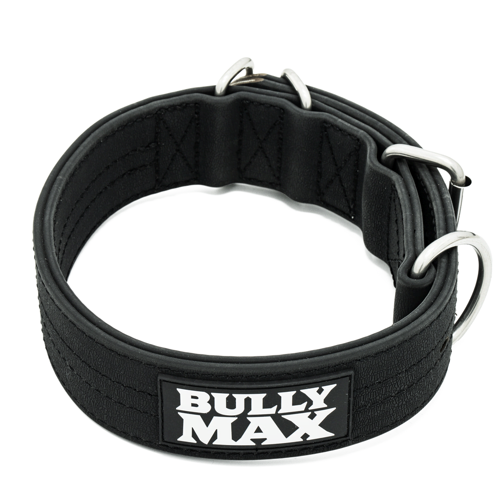 Dog Collar product image 1