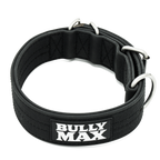 Dog Collar product image 1