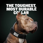 Dog Collar product image 2