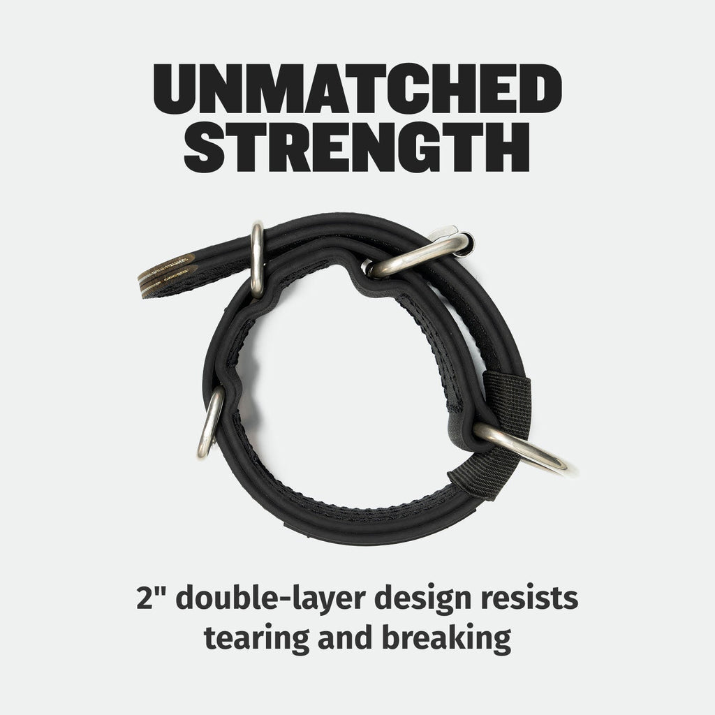 Dog Collar product image 4