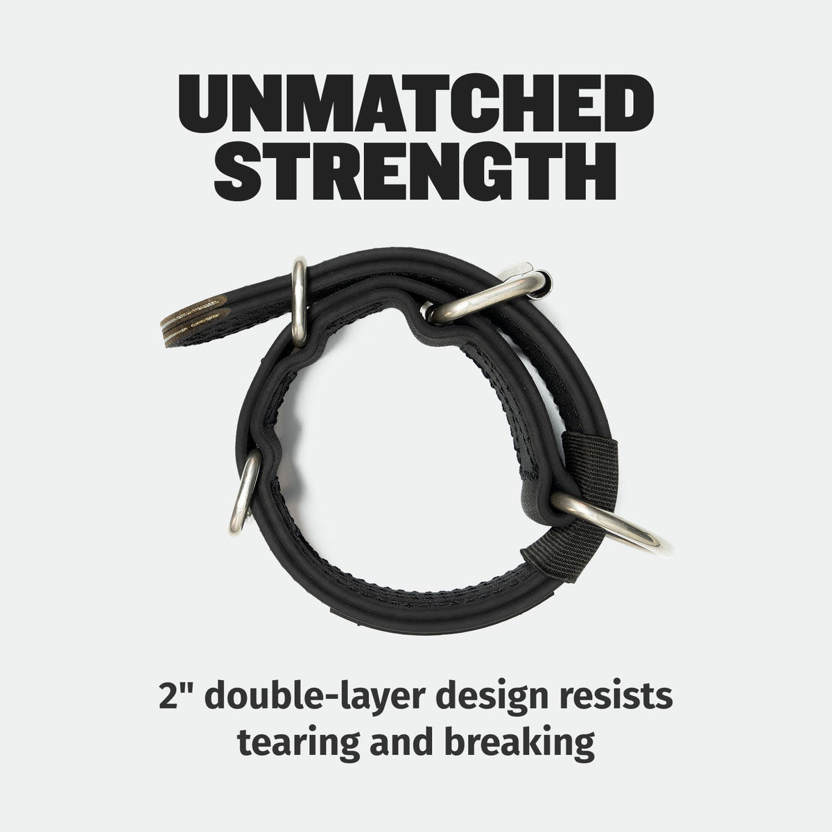 Dog Collar product image 4