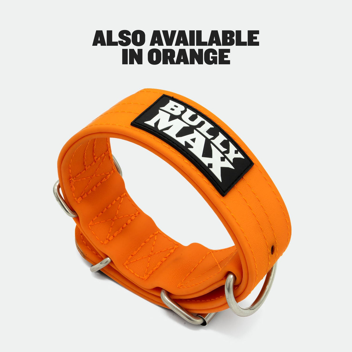 Dog Collar product image 9