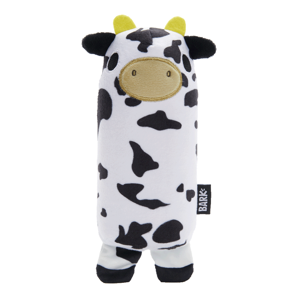 Squeaky Dog Toy product image 1