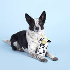 Squeaky Dog Toy product image 3
