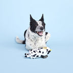 Squeaky Dog Toy product image 4