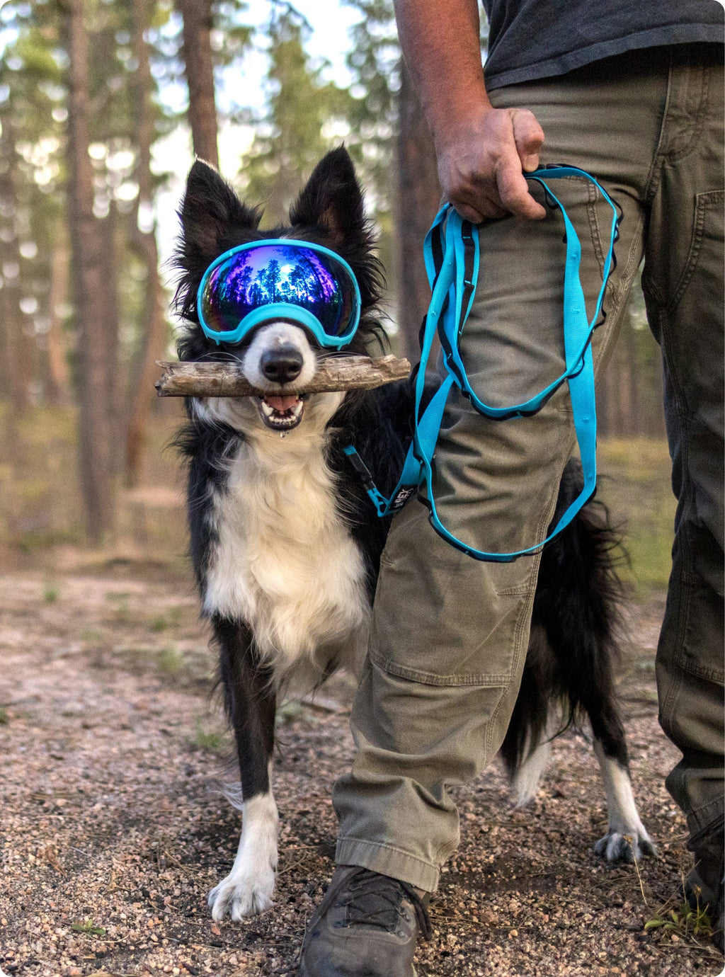 Hands-Free Dog Leash product image 4