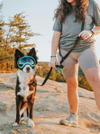 Hands-Free Dog Leash product image 8