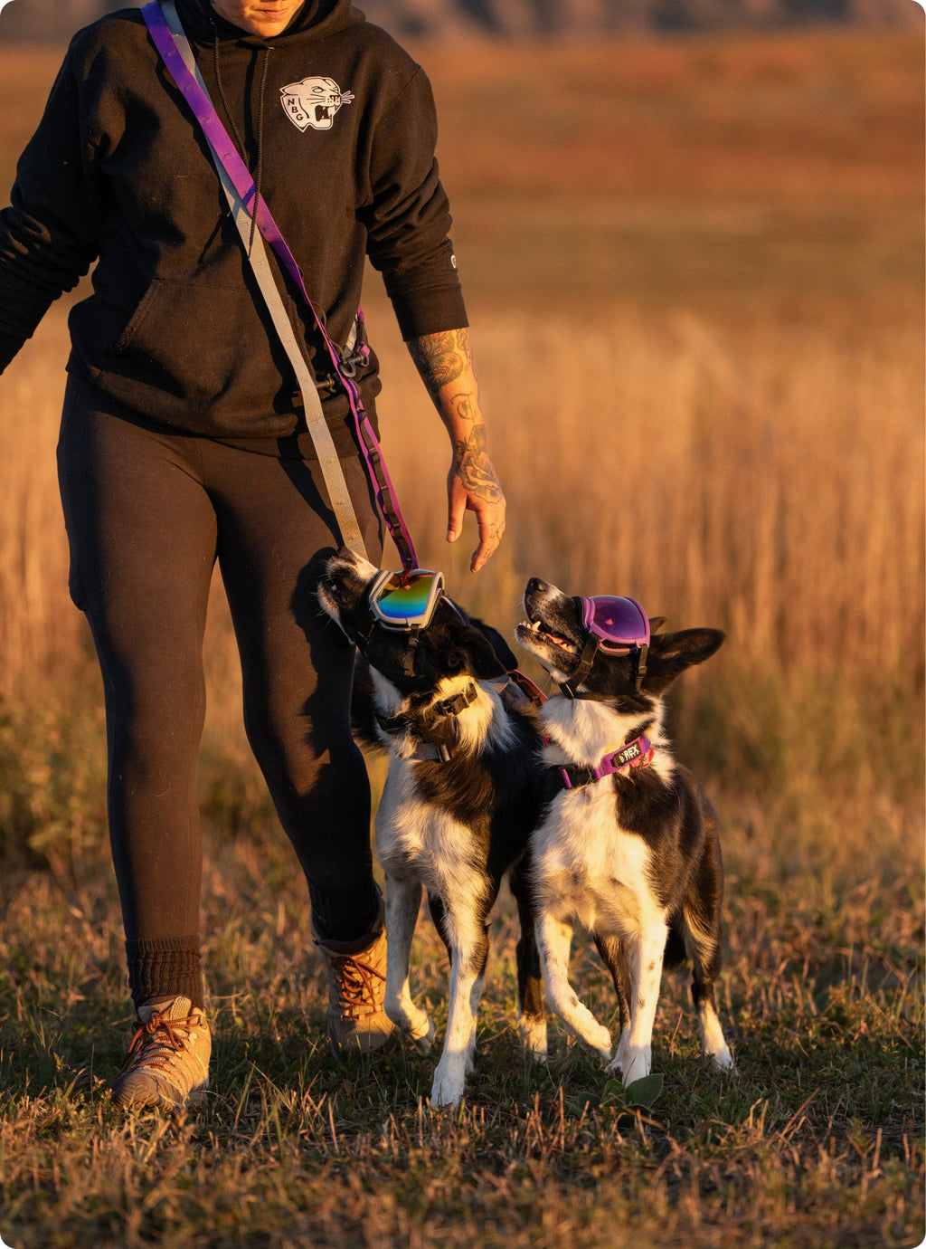 Hands-Free Dog Leash product image 11