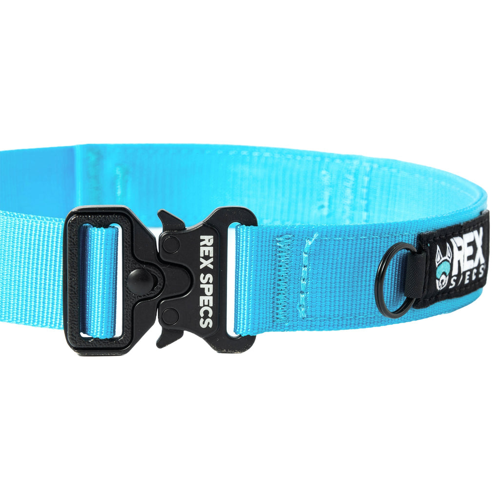 Dog Collar product image 3