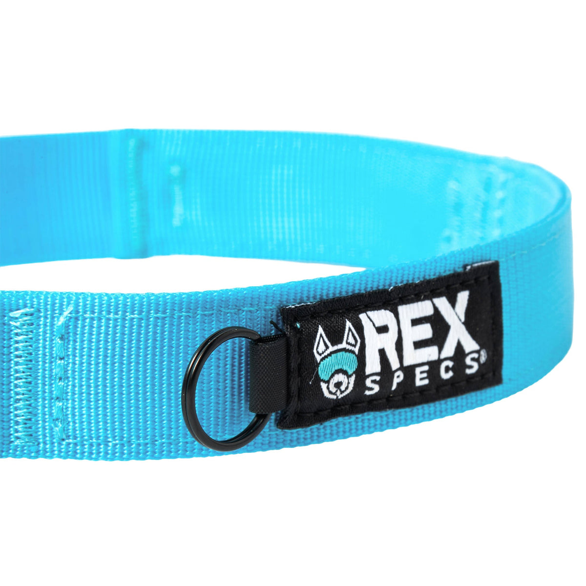 Dog Collar product image 4
