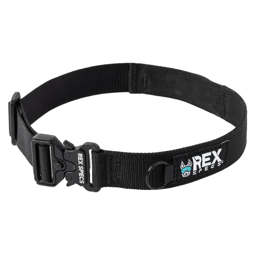 Dog Collar product image 7