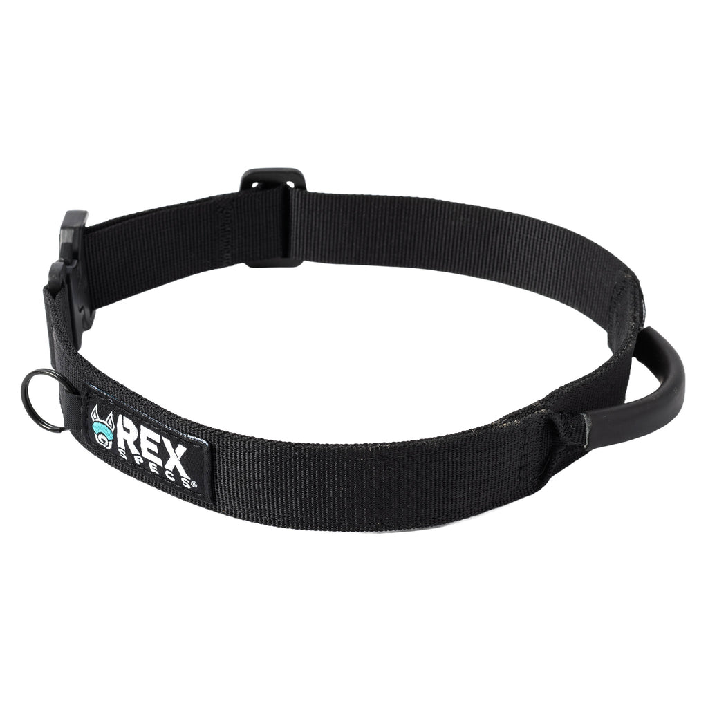 Dog Collar product image 8