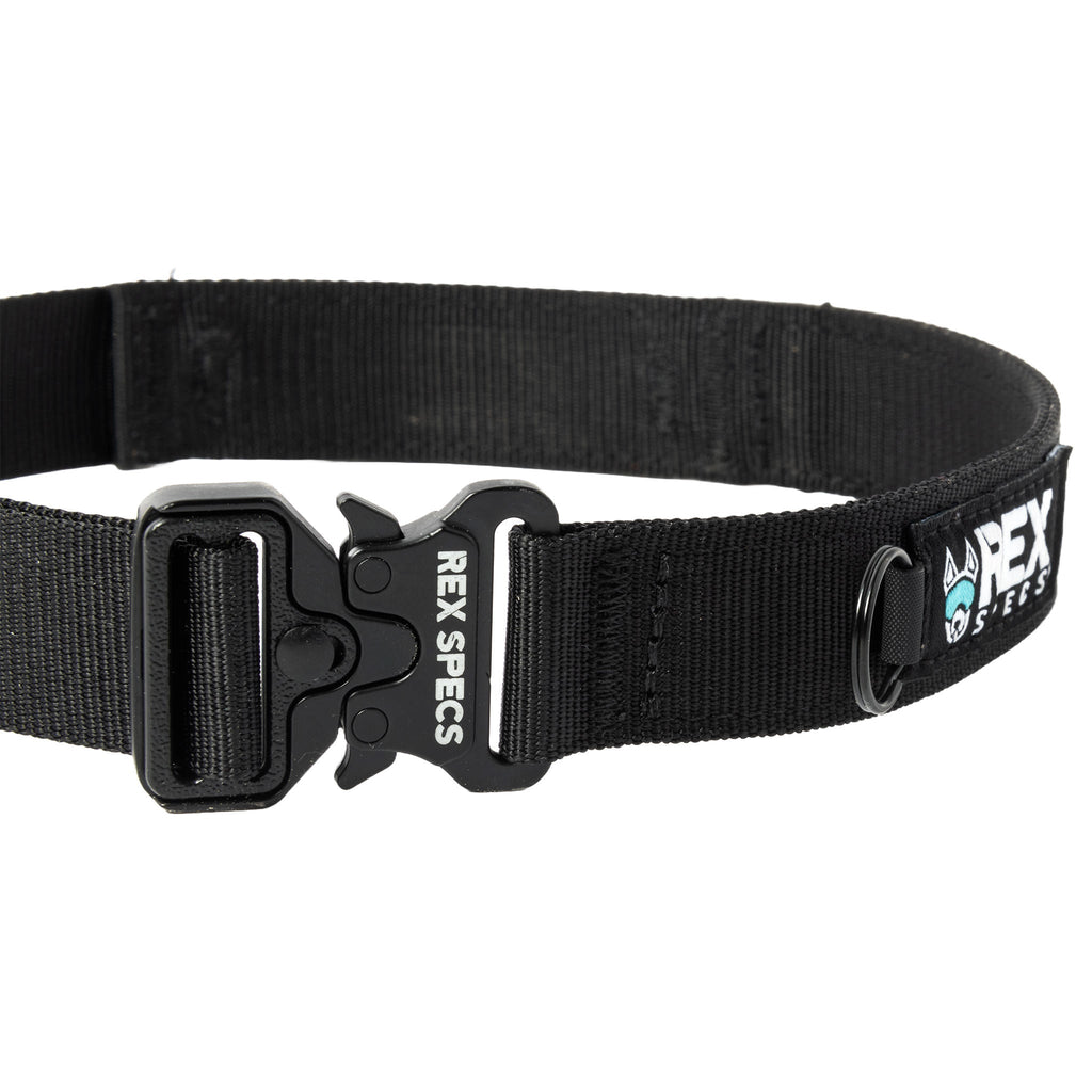 Dog Collar product image 9
