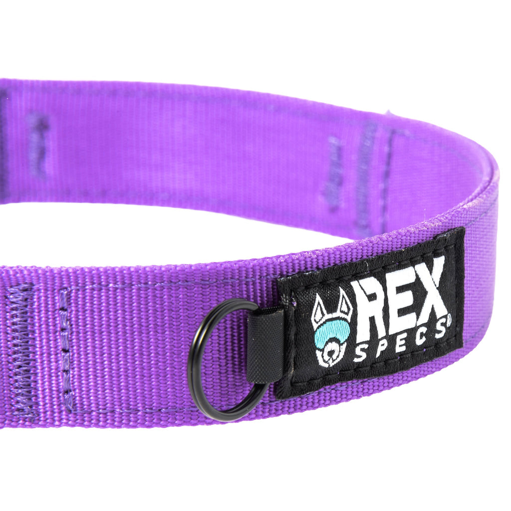 Dog Collar product image 16
