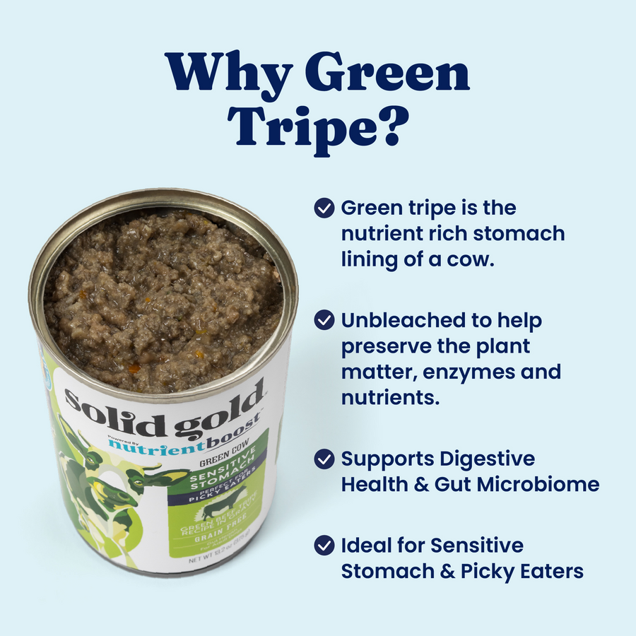 Wet Dog Food product image 3