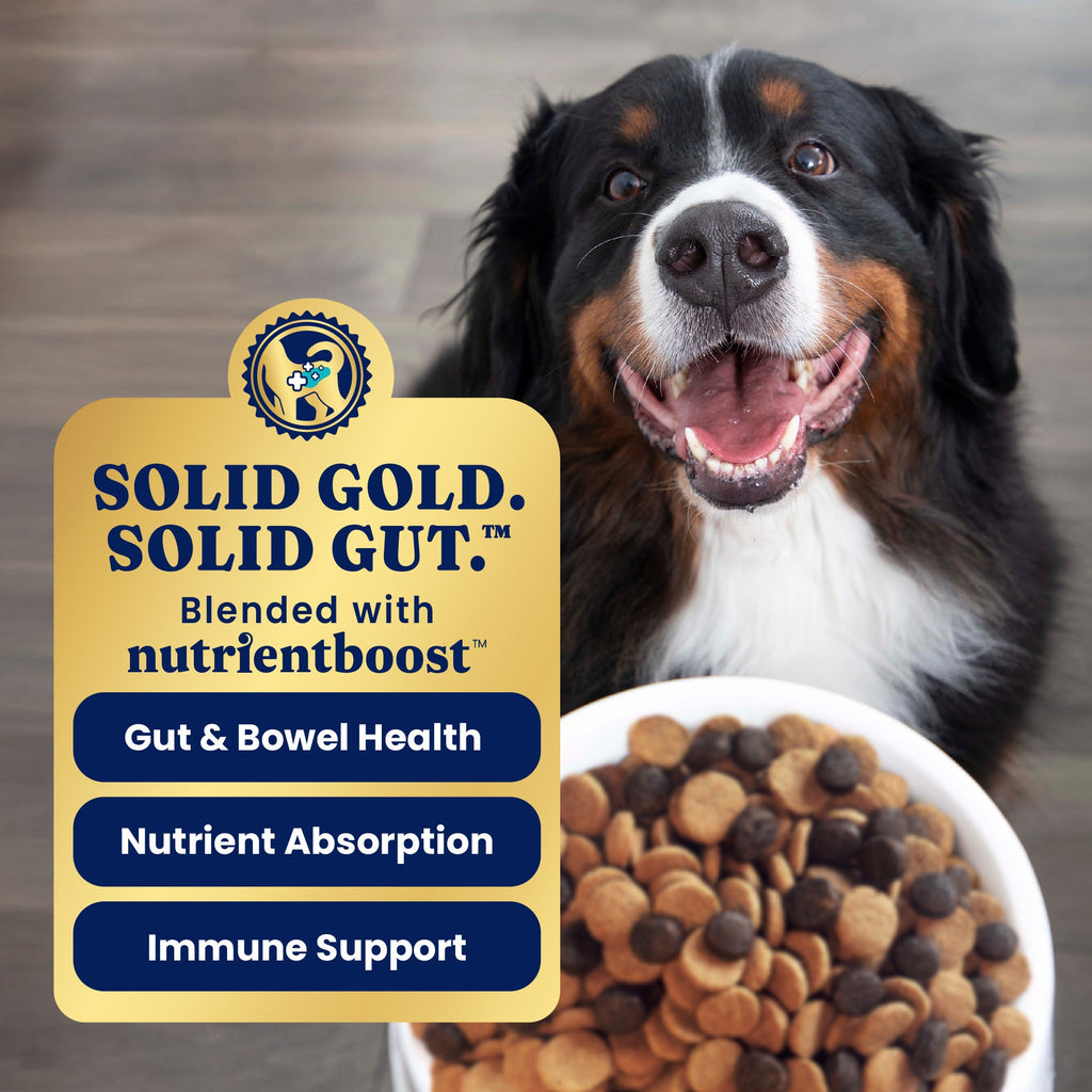 Dry Dog Food product image 5
