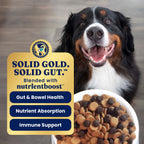 Dry Dog Food product image 5