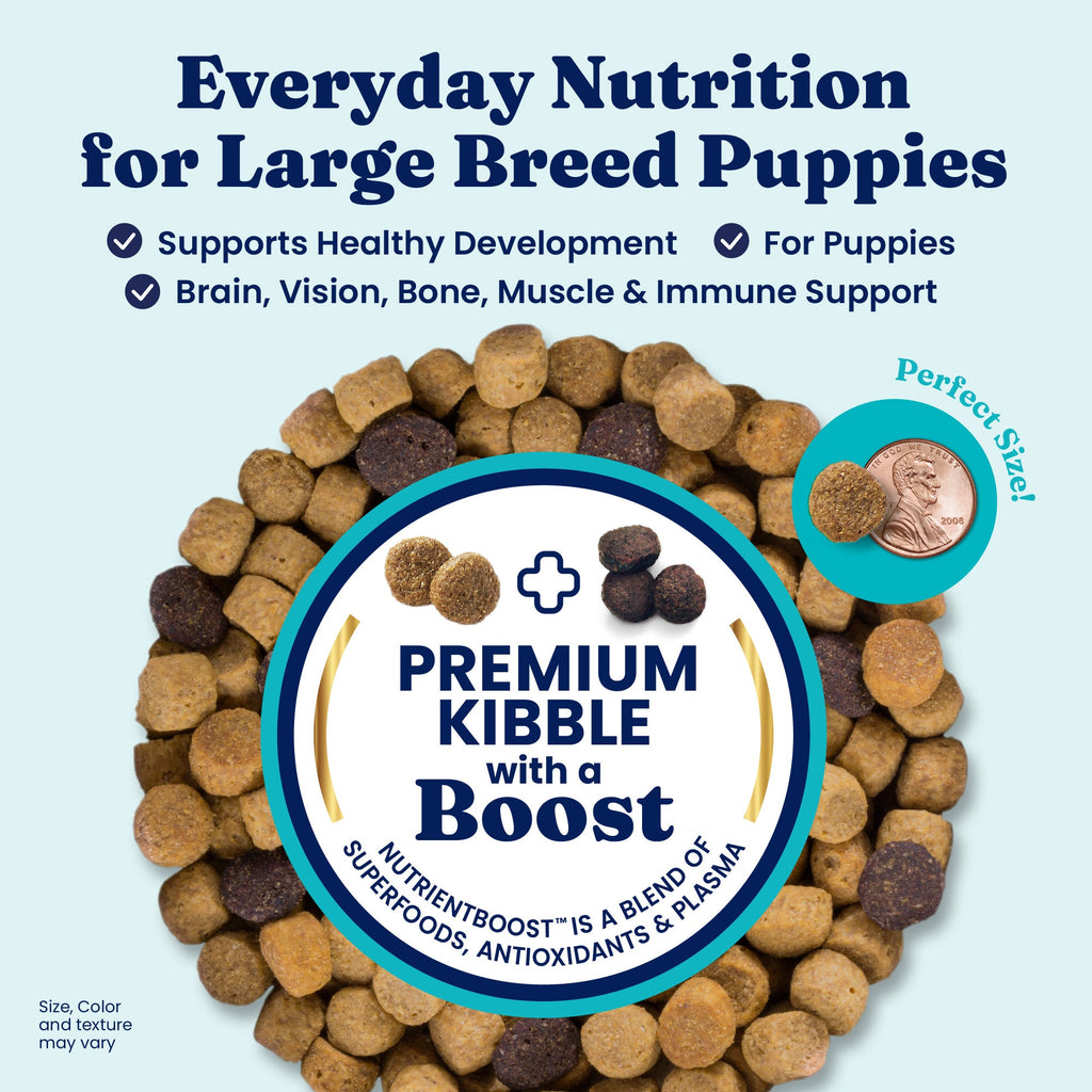 Dry Dog Food product image 2