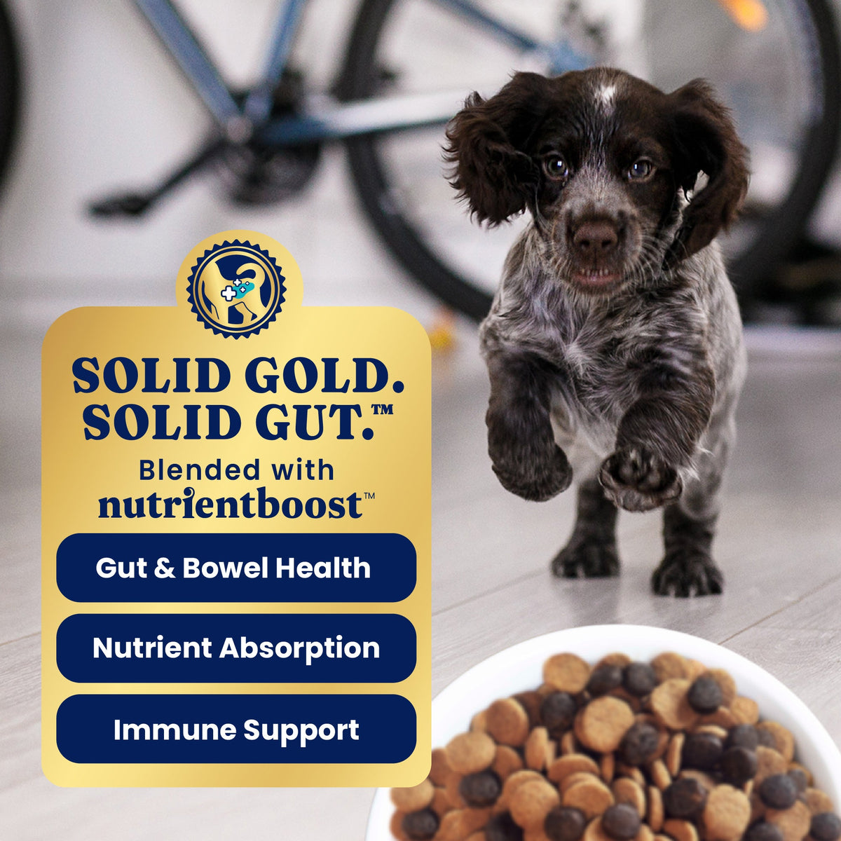 Dry Puppy Food product image 4