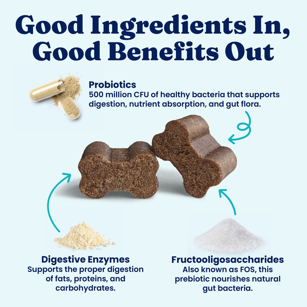 Dog Digestive Chews product image 3