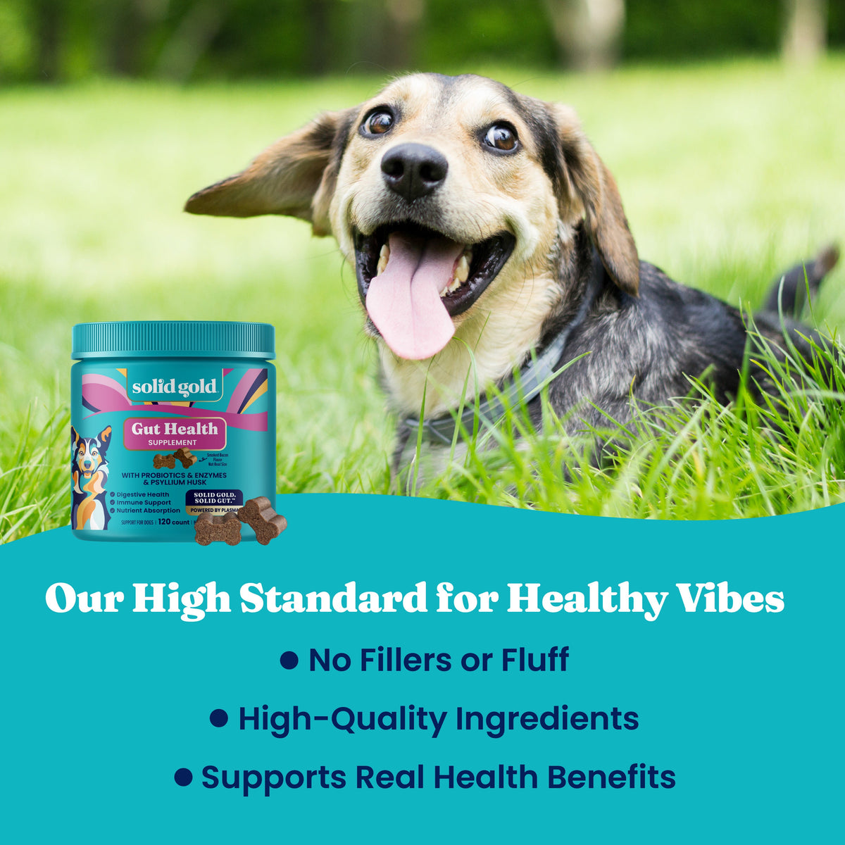 Dog Digestive Chews product image 6