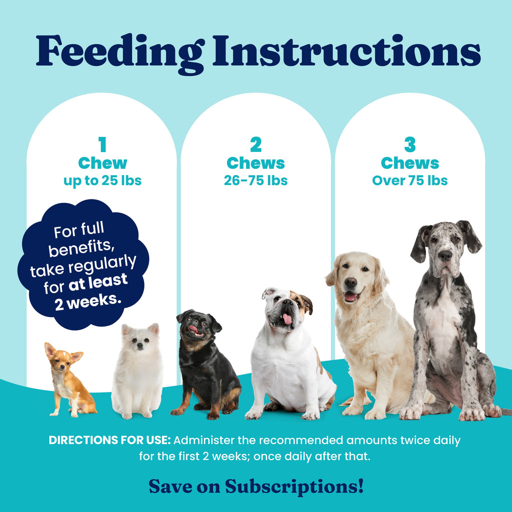 Dog Digestive Chews product image 7