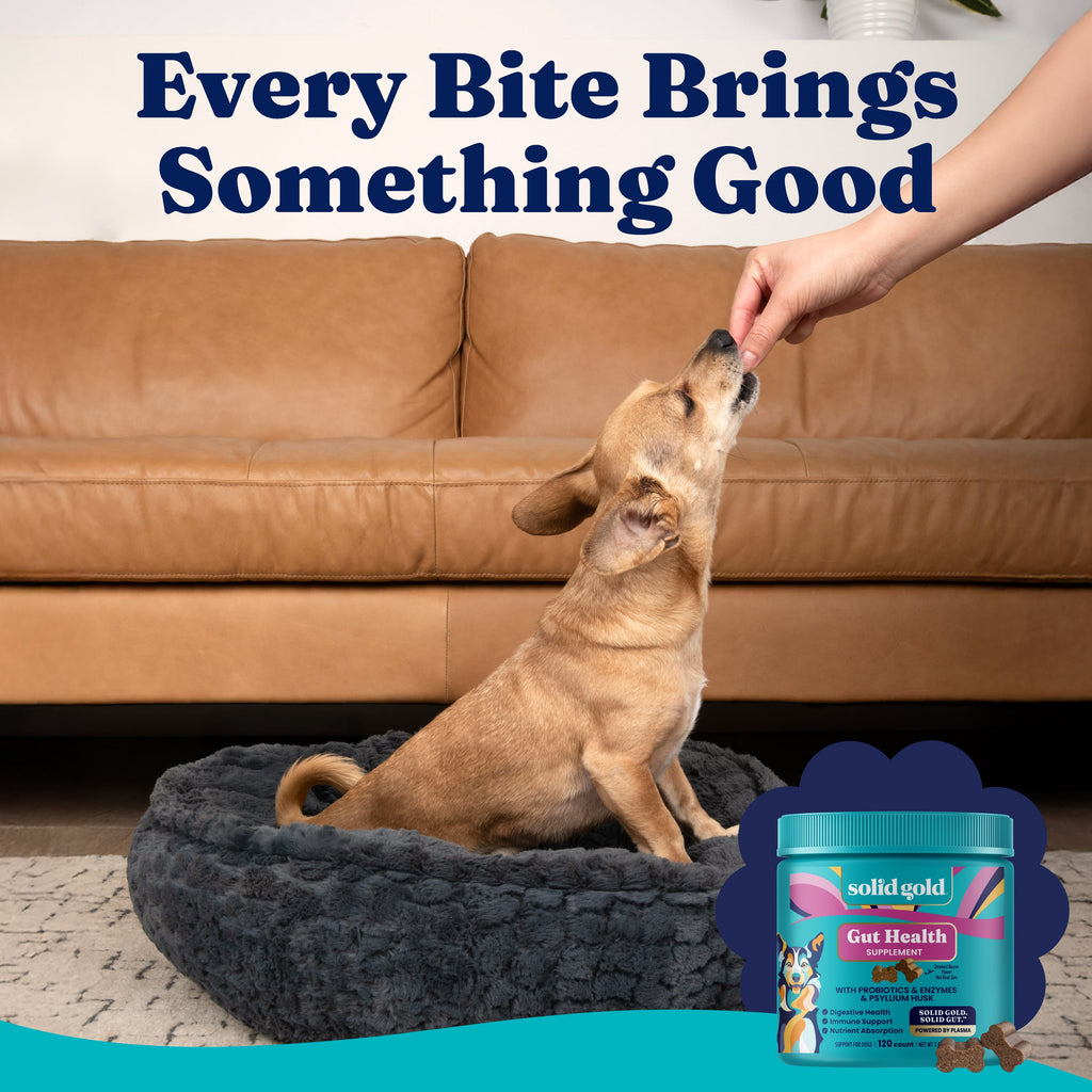 Dog Digestive Chews product image 10
