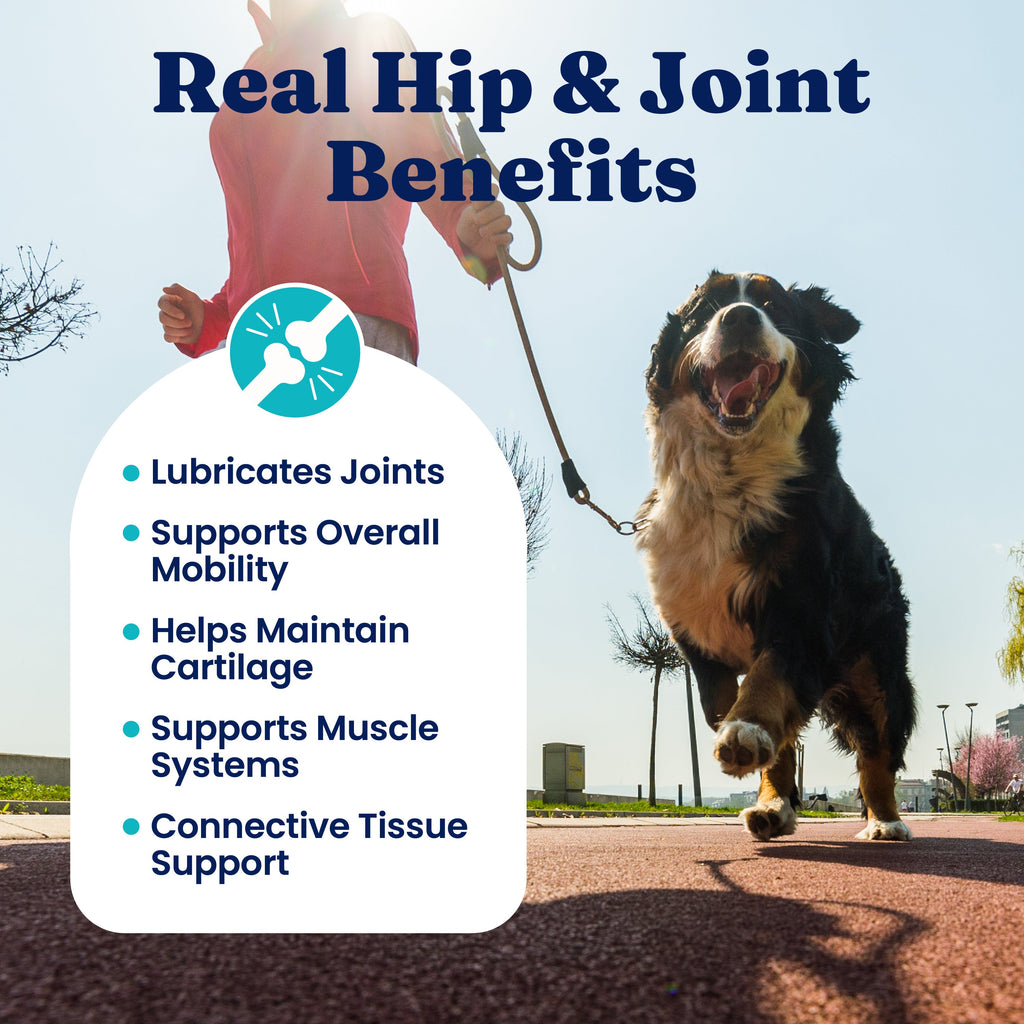 Dog Joint Support Chews product image 2