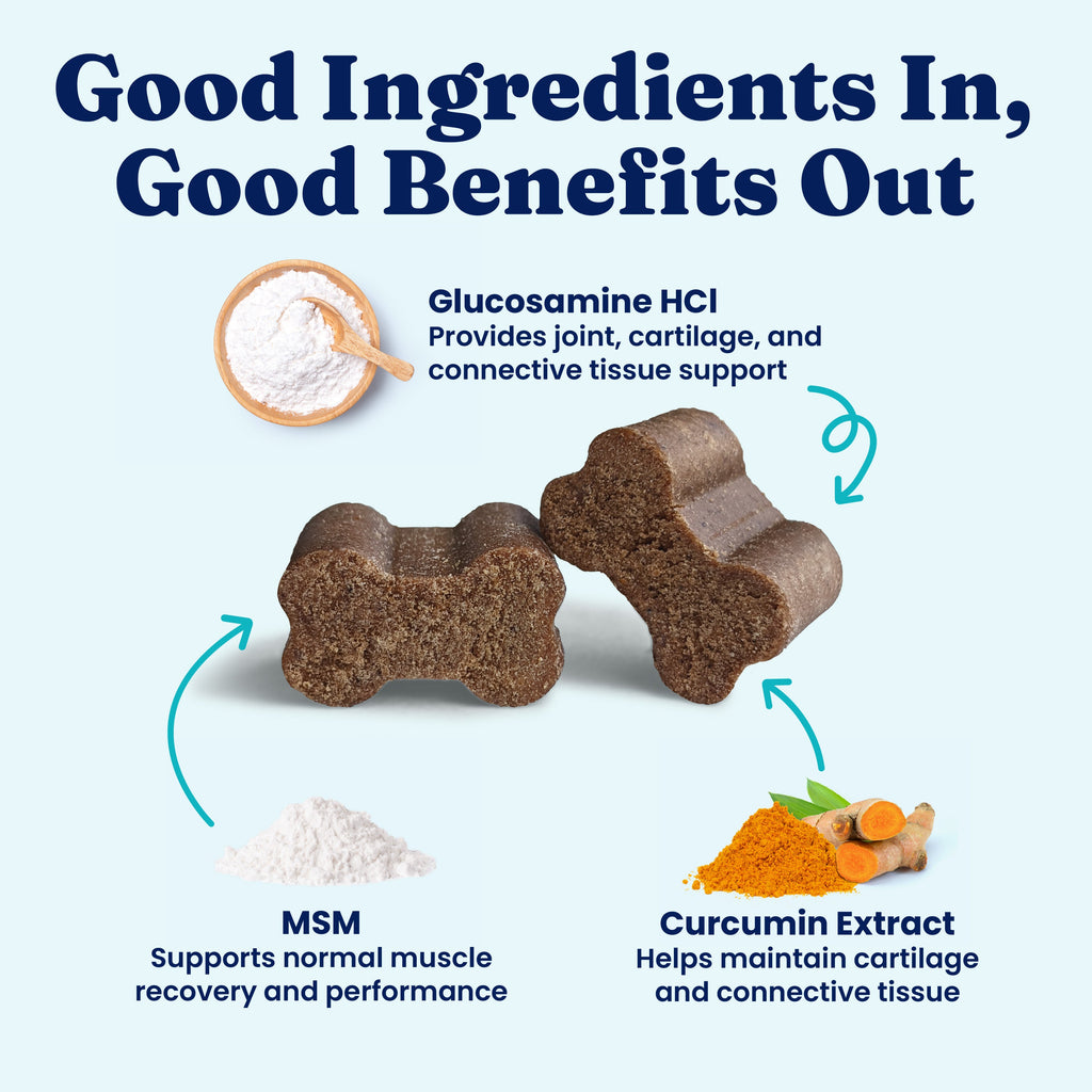 Dog Joint Support Chews product image 3