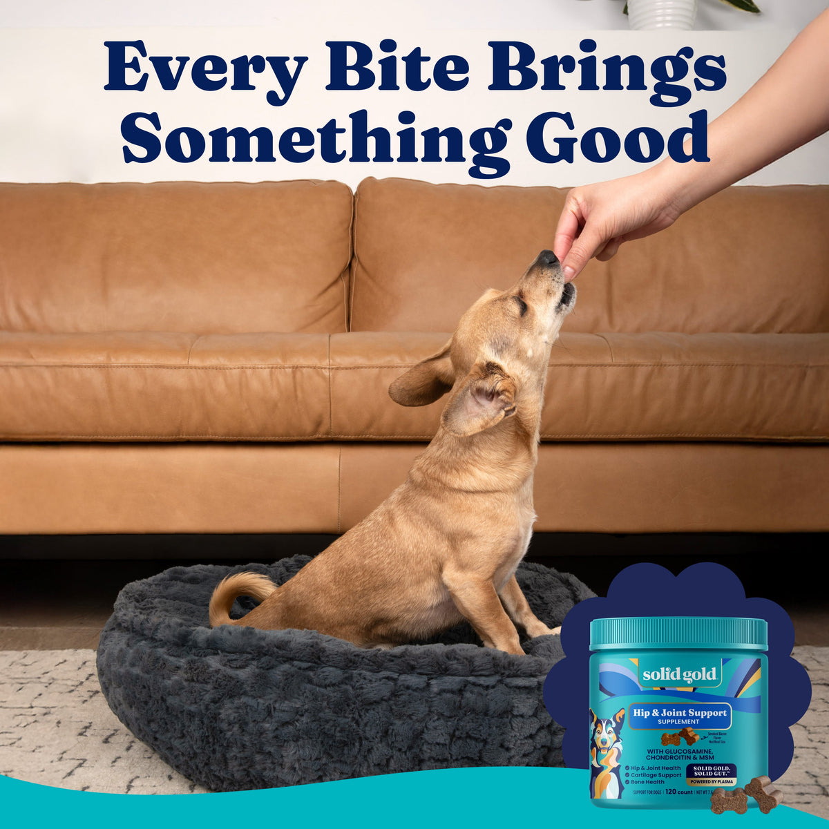 Dog Joint Support Chews product image 10