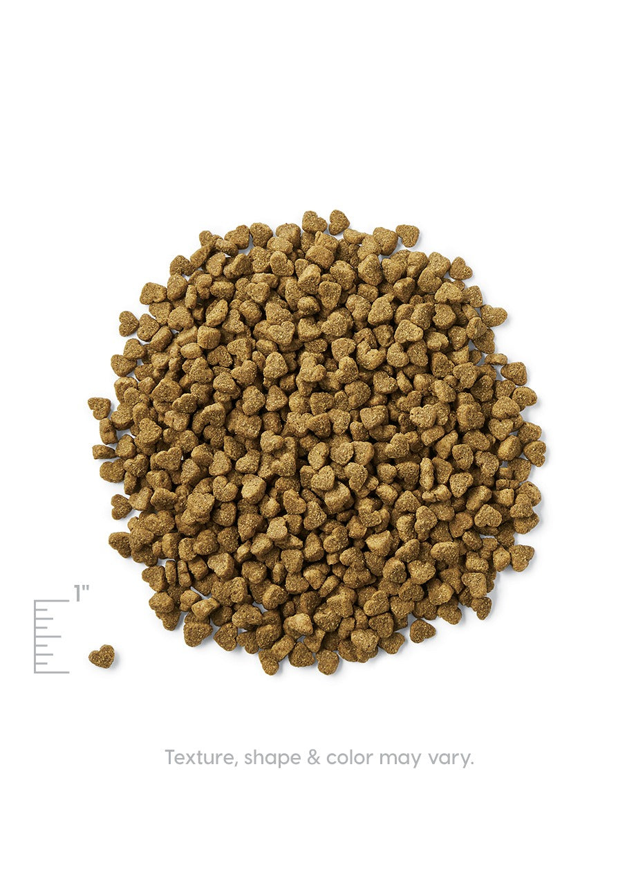 Dry Dog Food product image 2