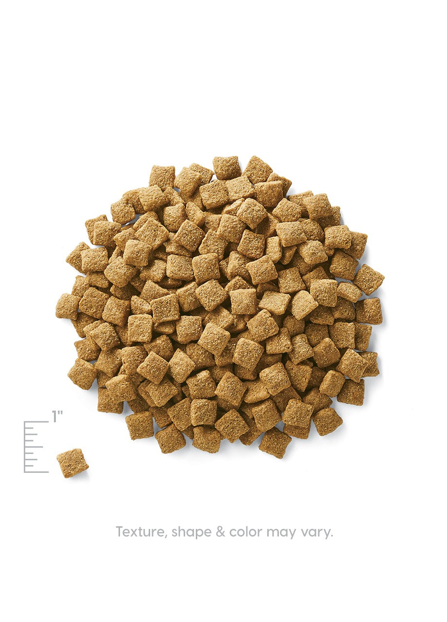 Dry Dog Food product image 4