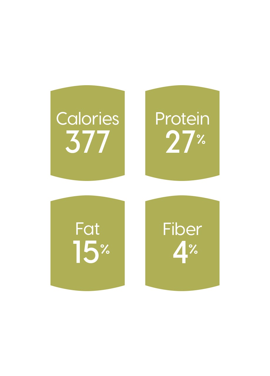 Dry Dog Food product image 4