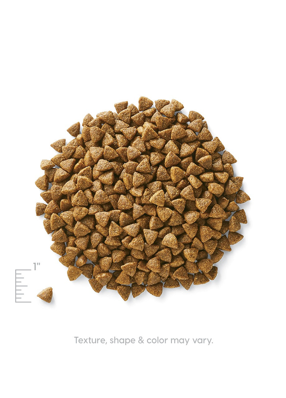 Dry Dog Food product image 5