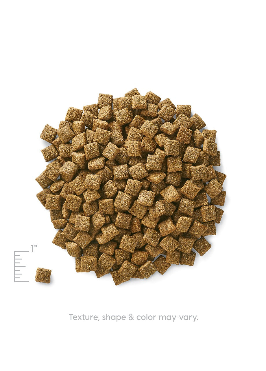 Dry Dog Food product image 4