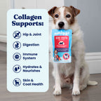 Dog Food Topper product image 5