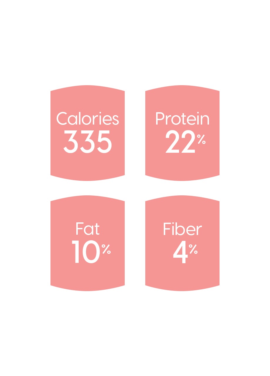 Dry Dog Food product image 3