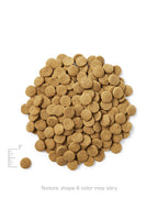 Dry Dog Food product image 4