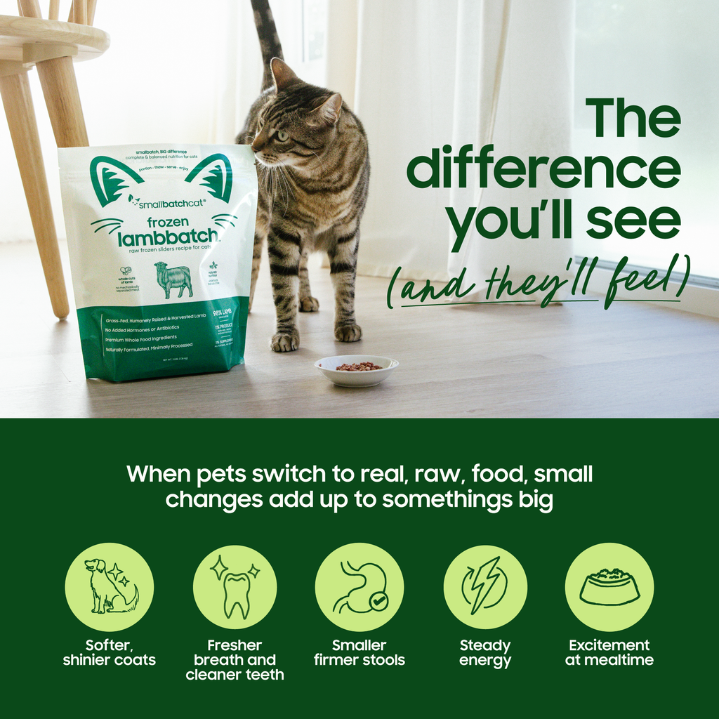 Freeze-Dried Dog Food product image 3