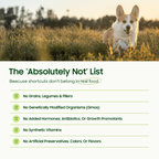 Freeze-Dried Dog Food product image 4